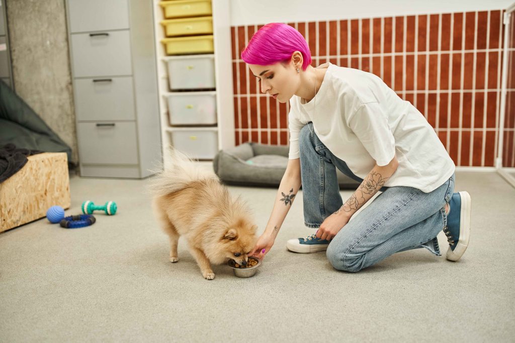 Discover the Advantages of Doggy Day Care in Dubai – Fancy Furry Pets Care