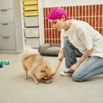 Discover the Advantages of Doggy Day Care in Dubai – Fancy Furry Pets Care