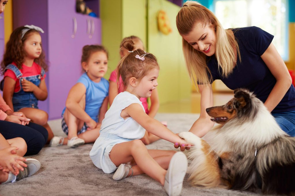 Discover the Advantages of Doggy Day Care in Dubai – Fancy Furry Pets Care