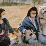 Reliable Care for Traveling and Relocating Pet Owners